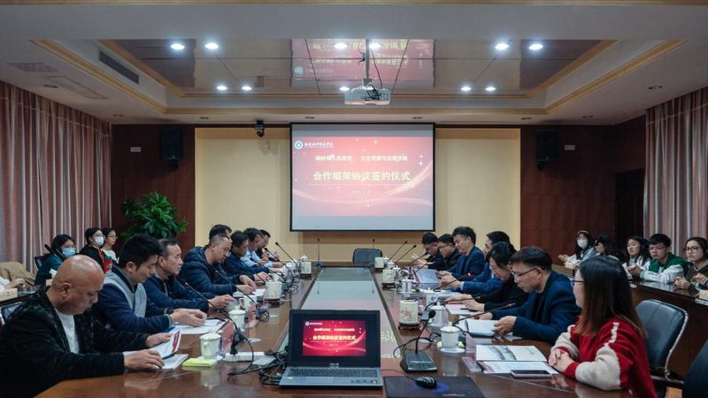 TVC广告合同使用期限条款：关键解析与合规要点
